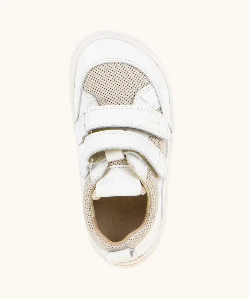 Top view of Froddo barefoot base children's shoe in white showing the velcro strap fastener and insole detail
