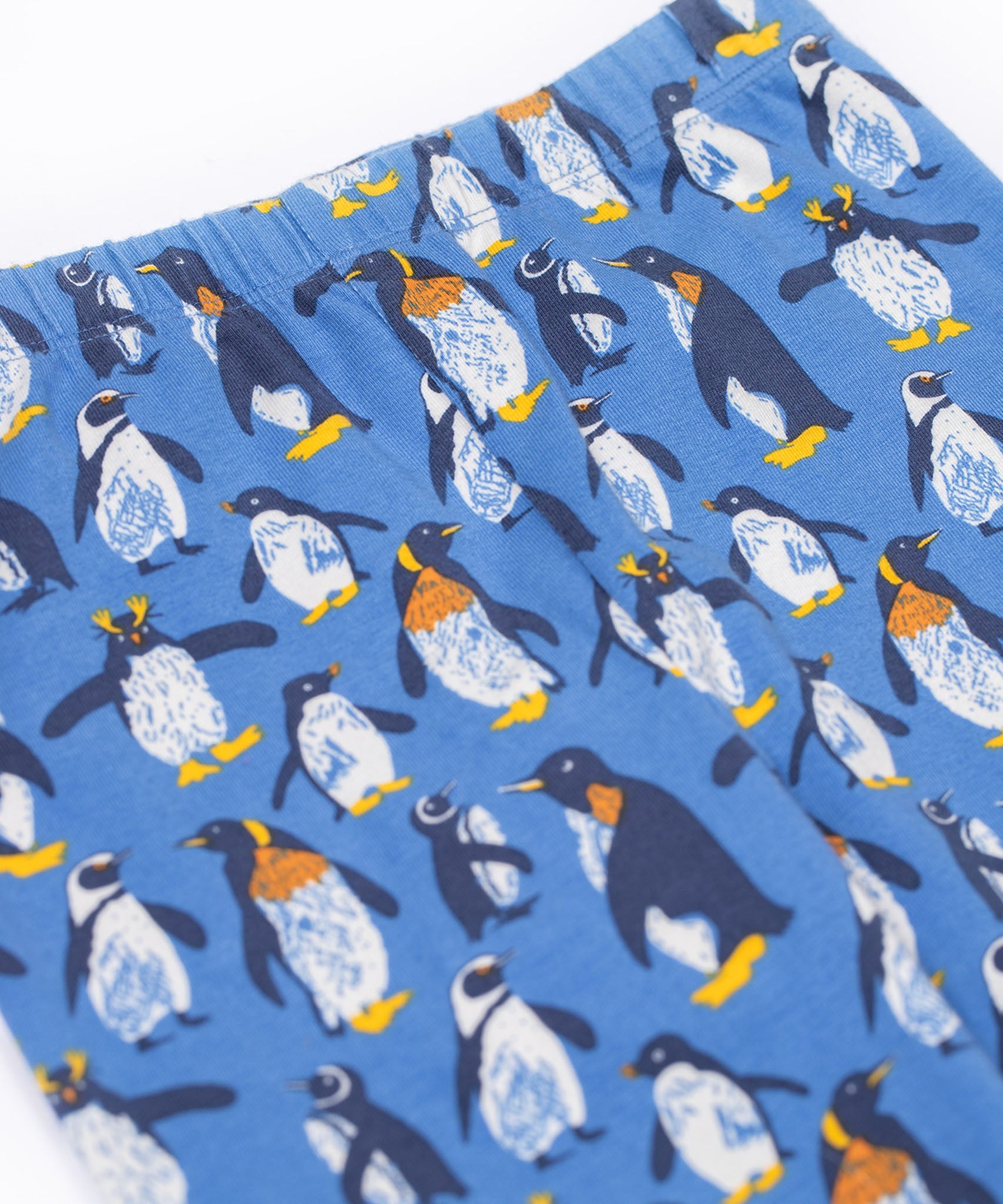 A close up of the Frugi organic cotton kids libby leggings showing the penguin print and elasticated waist band. Leggings are available at Babipur
