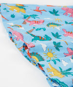 Frugi blue skater dress dinoland frill detail