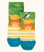 Frugi GOTS organic cotton socks showing a yellow stripes with a little Highland cow with details hidden under the cuff