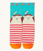 A playful hedghog themed Frugi organic cotton sock laid flat 