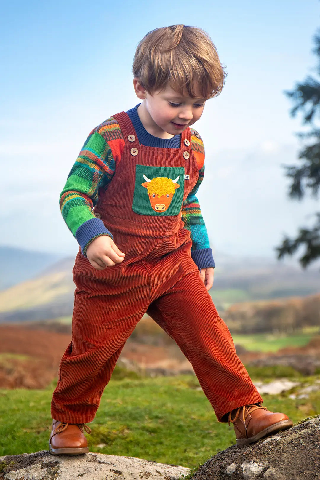 A toddler wearing Organic cotton Frugi A/W 26 rust-brown corduroy overalls with a colorful striped knit top and a Highland cow patch on the chest, standing outdoors on a rock with a blurred landscape background. To represent Autumn collection at Babipur 