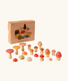 Grapat mushroom grove set showing different hand crafted wooden mushroom pieces standing next to a decorated cardboard box