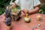 A close up of the Grapat wooden yellow flowing bird. Showing the hand painted face detail, green and blue feather detail next to a small wooden plant pot and flowers on a garden table