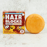 Ginger and Agave Nectar Hair Blocks Solid Shampoo Bar