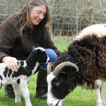 Jacob sheep and a small black and white lamb with a farmer