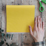 Kite Waxed Craft Paper for origami and window art, in rainbow colours 22cm squared.