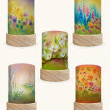 Toverlux  pack of lantern shades with seasons artwork by baukje exler. 