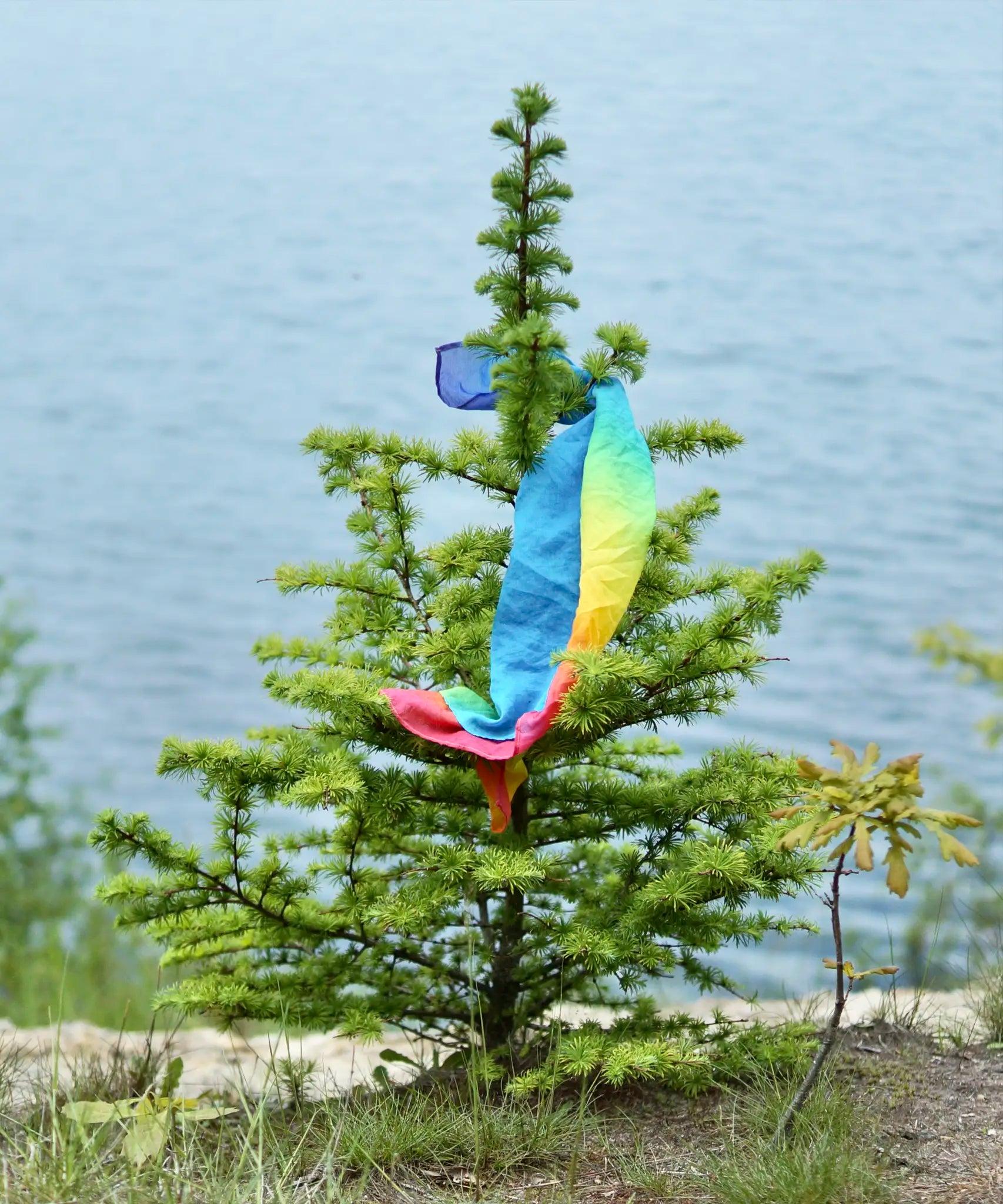 Laura's play cotton bright rainbow play cloths made from organic cotton tied onto a fir tree