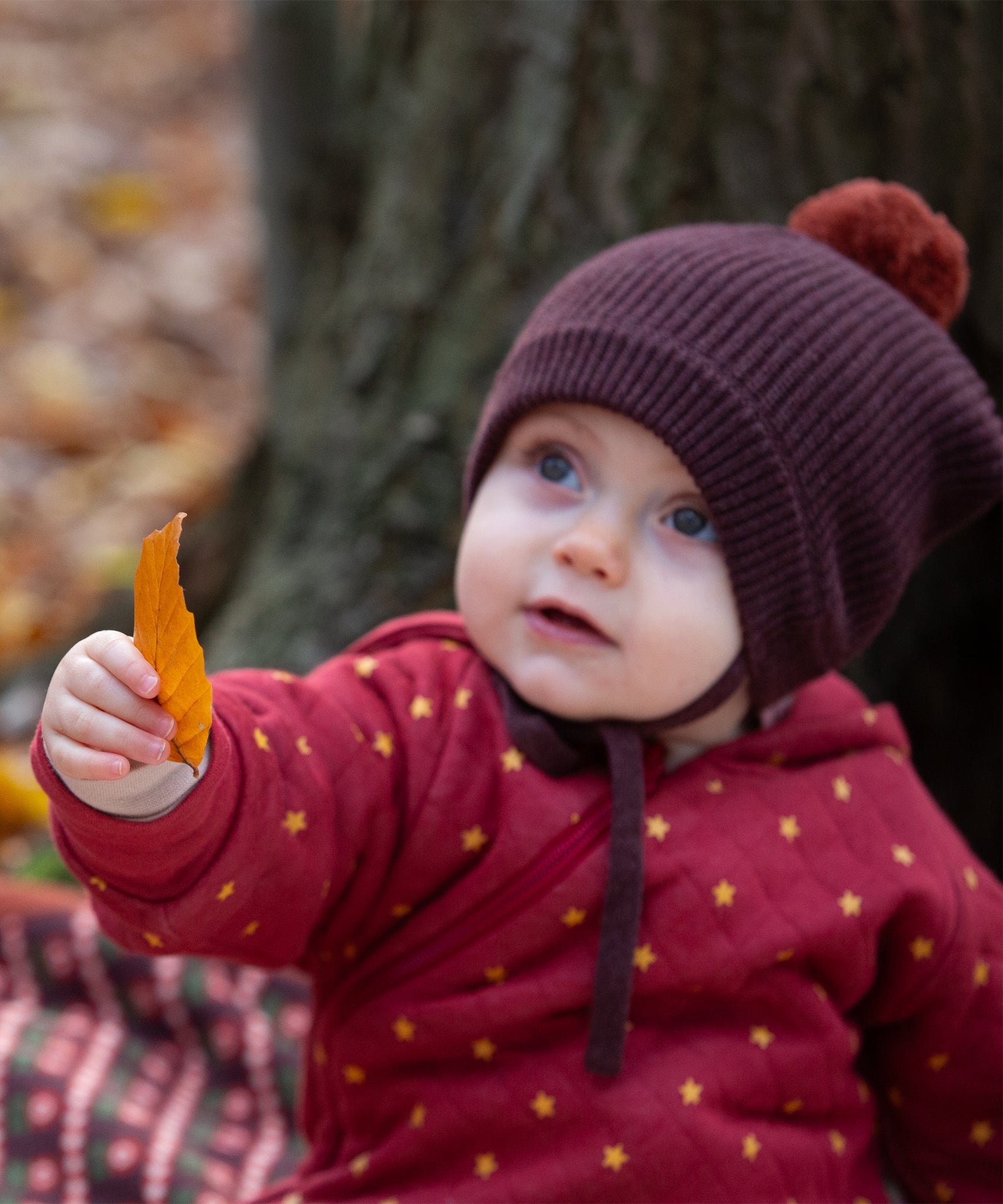Close up of a baby holding a crispy autumn leaf wearing a knitted chocolate brown pom pom hat, made from soft Fairtrade and GOTS certified organic cotton by Little Green Radicals - available now at Babipur.
