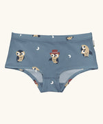 Maxomorra GOTS organic cotton women's brief hipster pants in a light blue with a repeating cartoon owl print 