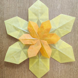 Yellow daffodil made from Kite waxed paper lying flat on a wooden surface
