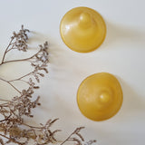 Hevea Natural Rubber Nipple Shields - 2 Pack nexed to dried flowers.