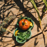 Oli & Carol wooden kale plate filled with different vegetables available at Babipur.