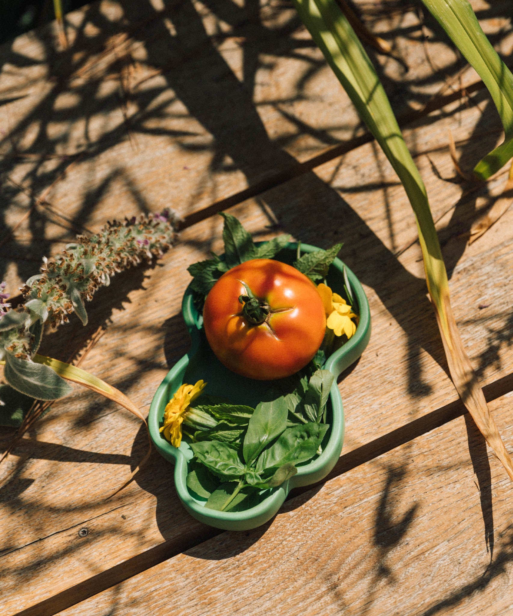 Oli & Carol wooden kale plate filled with different vegetables available at Babipur.
