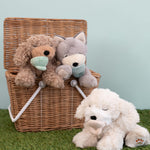 Banjo and Benny the Olli Ella dinkum puppies inside a natural Olli Ella basket with Belle the puppy sitting outside