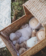 A Olli Ella cozy dinkum bunny twinkle doll lying in a Olli Ella strolley. This fluffy toy doll is available at Babipur.