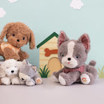  A Olli Ella grey and white Gizmo dinkum dog sitting next to a brown goldie dog, Banjo and Belle dinkum puppies.