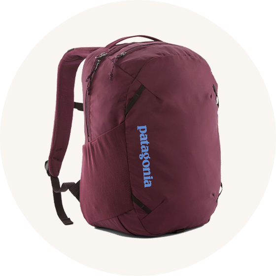 Patagonia Atom Day Pack 24L in plum Berry Fig with blue logo to represent bags at Babipur.