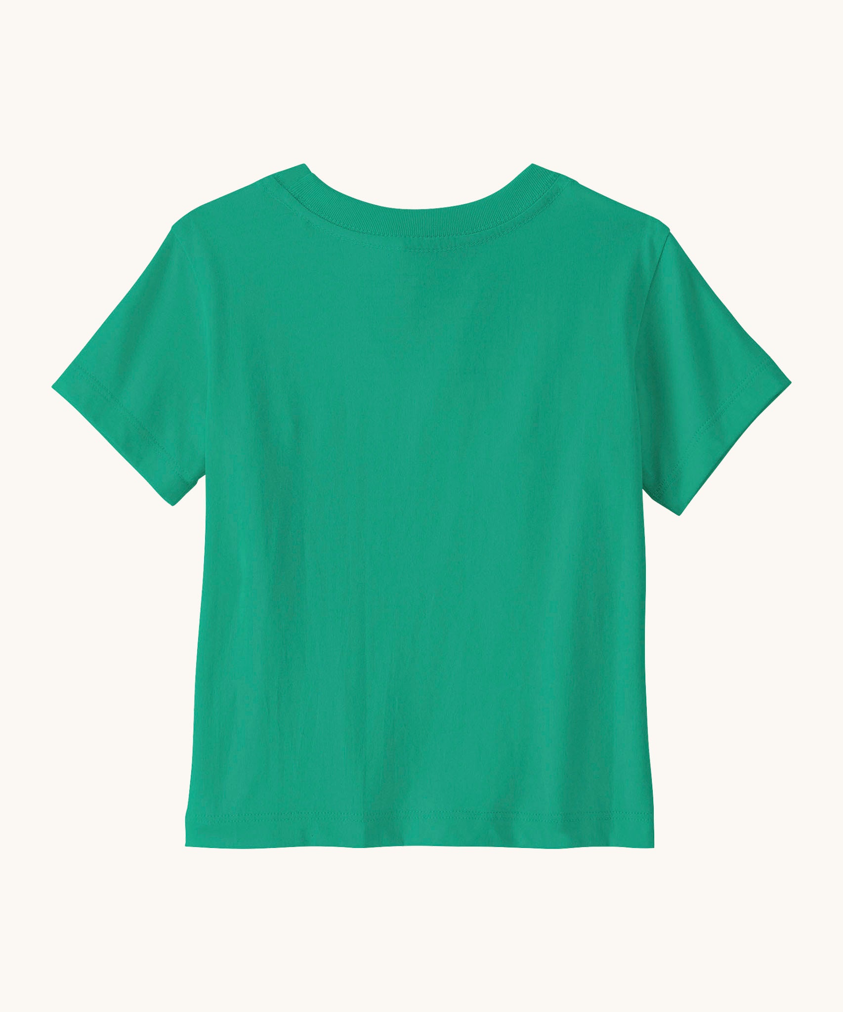 Back of Patagonia little kids fitz roy skies short sleeve organic cotton t-shirt in green 