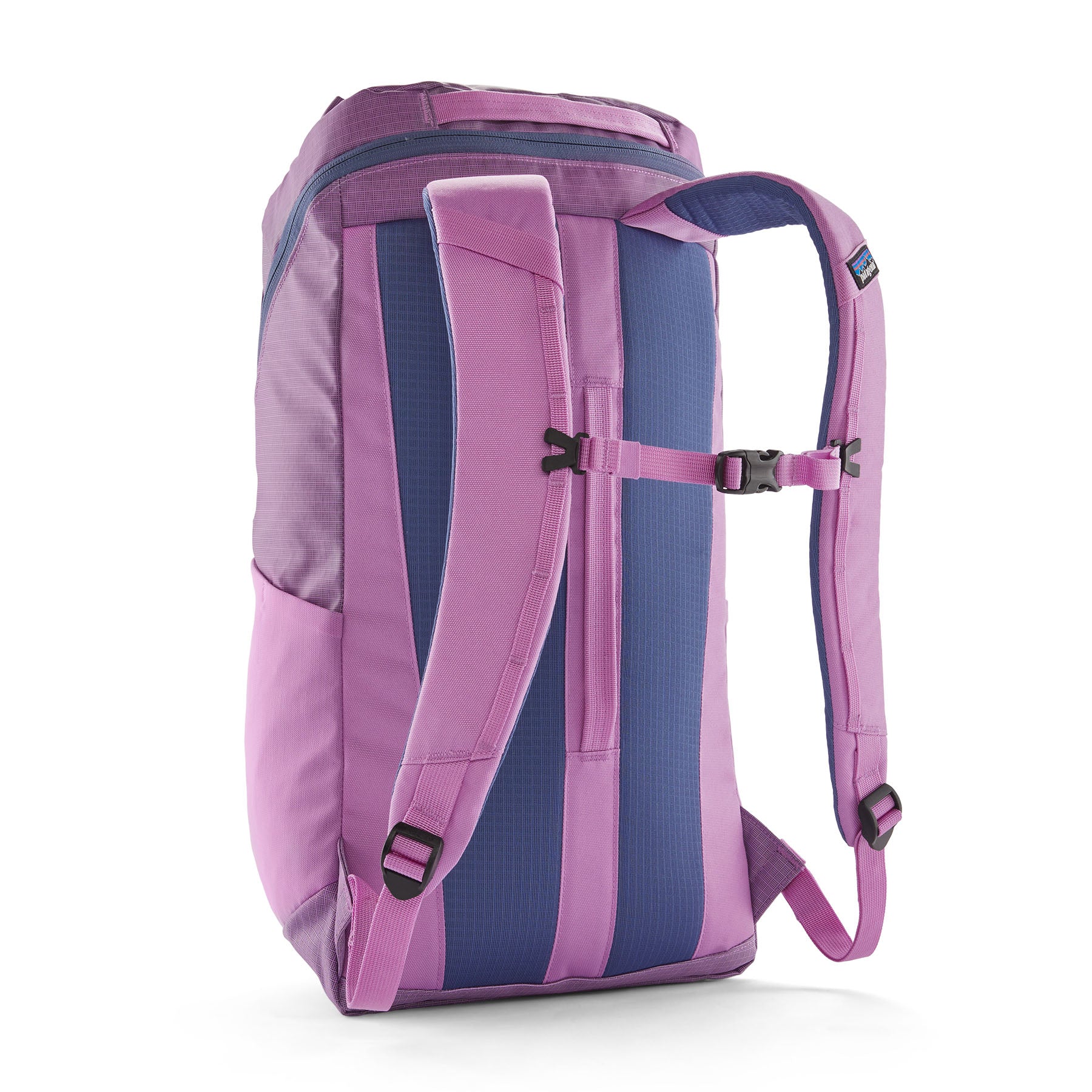 The back of the Patagonia black hole 25 litre backpack in brisk purple available at Babipur showing the padded shoulder straps and buckle fastener on the chest strap