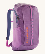 Patagonia black hole 25 litre backpack in brisk purple available at Babipur. A bright purple backpack with padded shoulders, mesh side pocket, 2 main zippped compartments with branding text on the front in orange