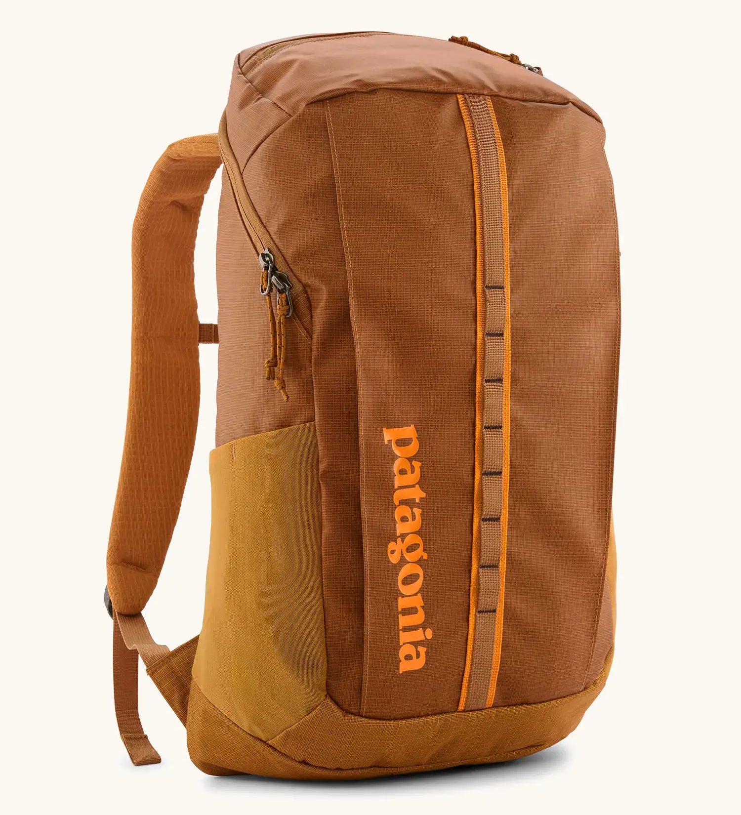 Patagonia Black Hole® Pack 25L | Recycled Backpack