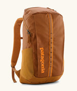 Patagonia 100% recycled polyester black hole 25 litre backpack in cinnamon brown. Features padded shoulder straps, top compartment and mesh side pockets