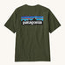 Patagonia Men's Tee - Torrey Pine Green. A dark green t-shirt made form organic cotton, with the Patagonia mountain range logo on the back