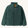  A Patagonia kidsdown sweater jacket in  cascade green available at Babipur.