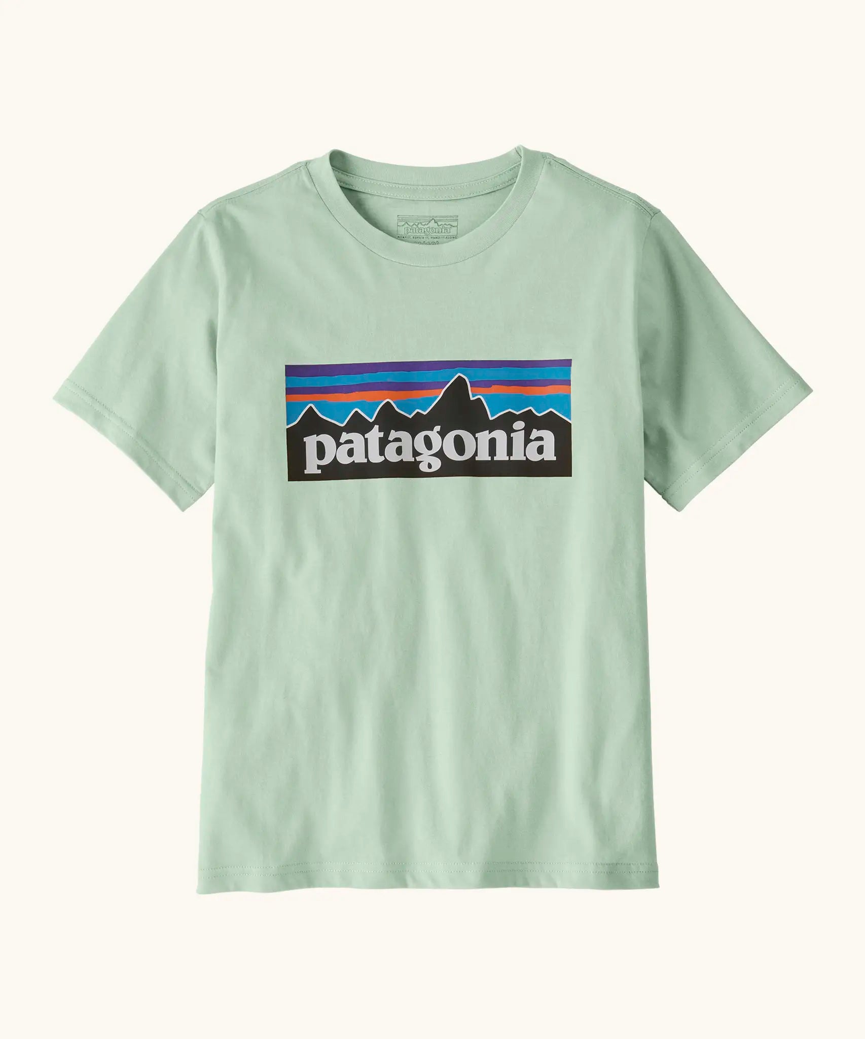 Patagonia organic cotton kids p6 logo short sleeve t-shirt in mint green with large brand patch on upper body