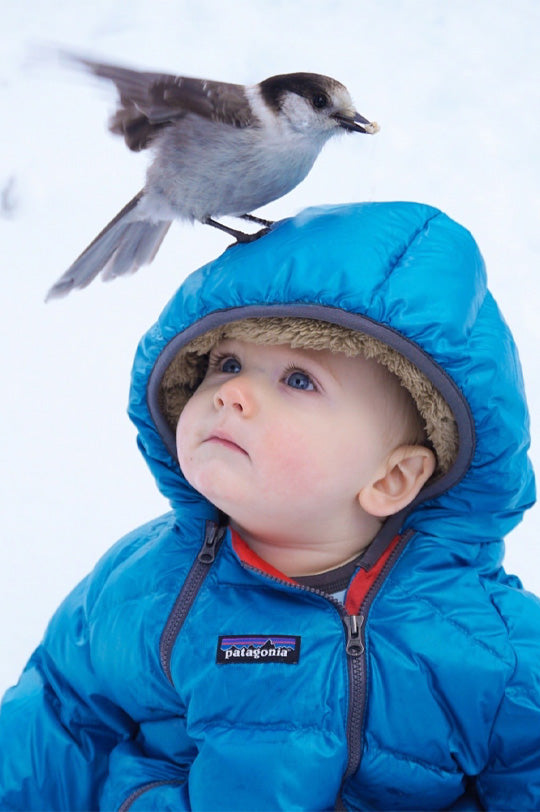 Baby in snow wearing Patagonia Hi-Loft Down Sweater Bunting in a bright Vessel Blue, to represent Patagonia kids clothing at Babipur.