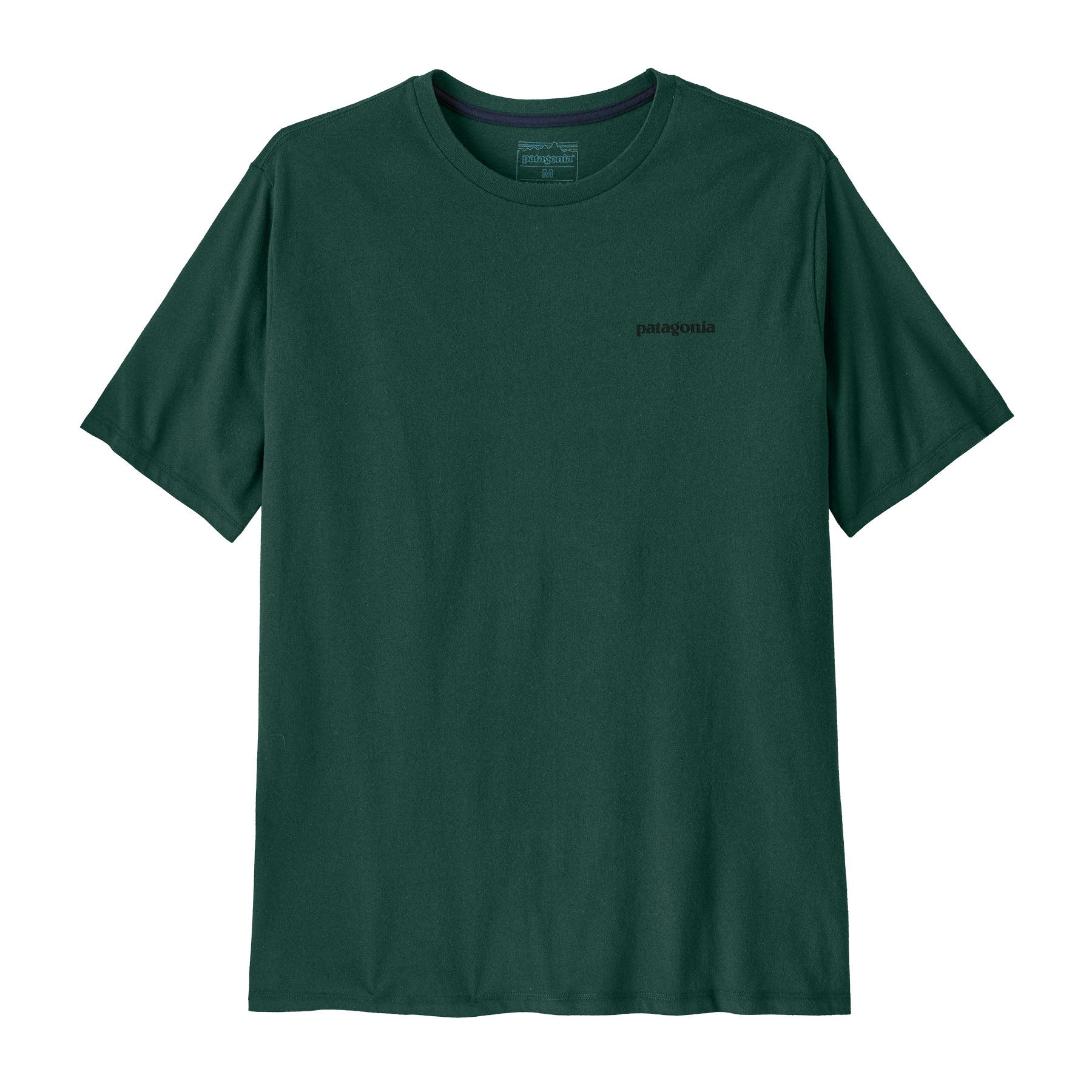 Patagonia men's logo responisbilli tee in cascade green available at Babipur