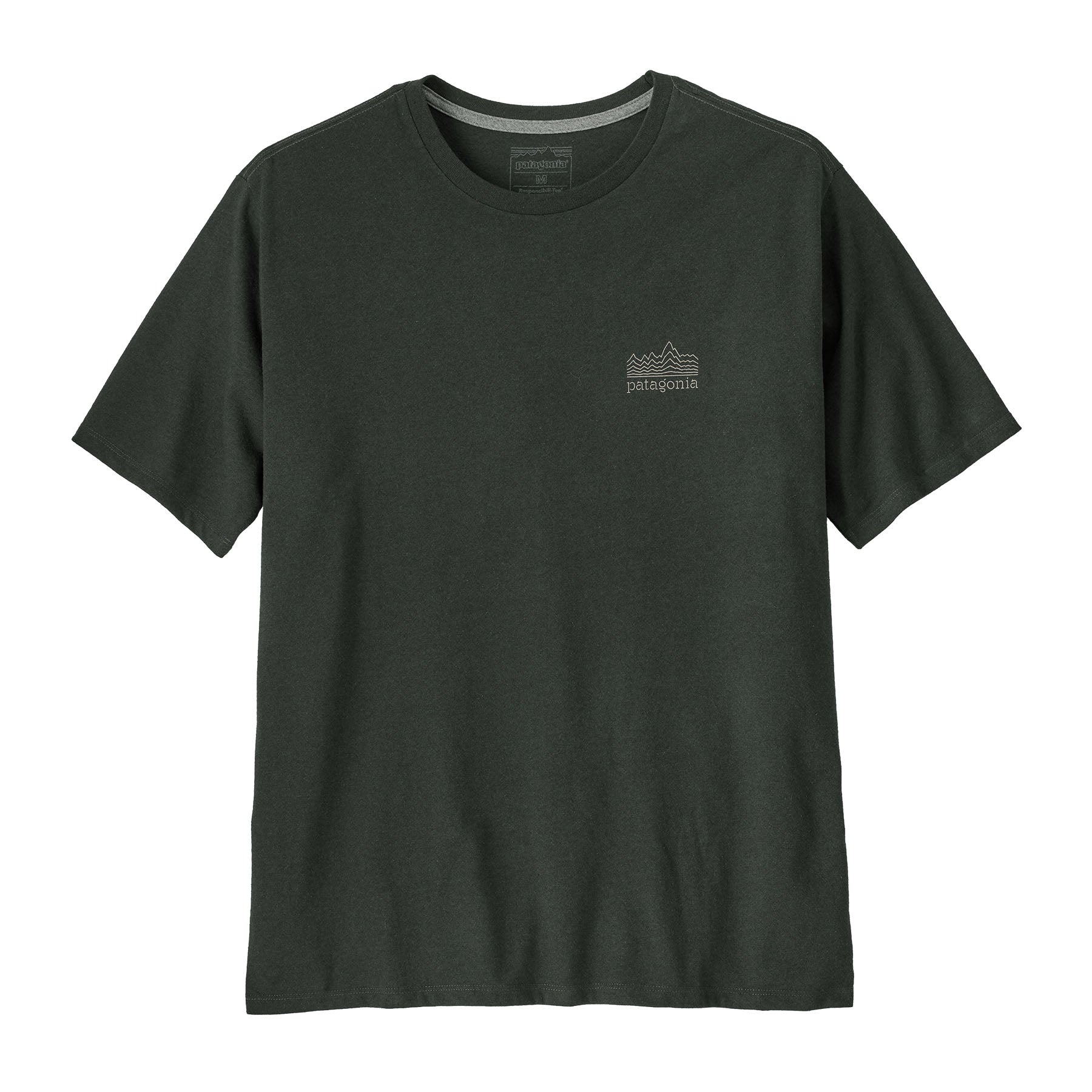 Patagonia men's Strataspire tee in old growth green available at Babipur.