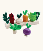 PlanToys wooden seedling patch set showing loose veg sitting on top of planting bed.