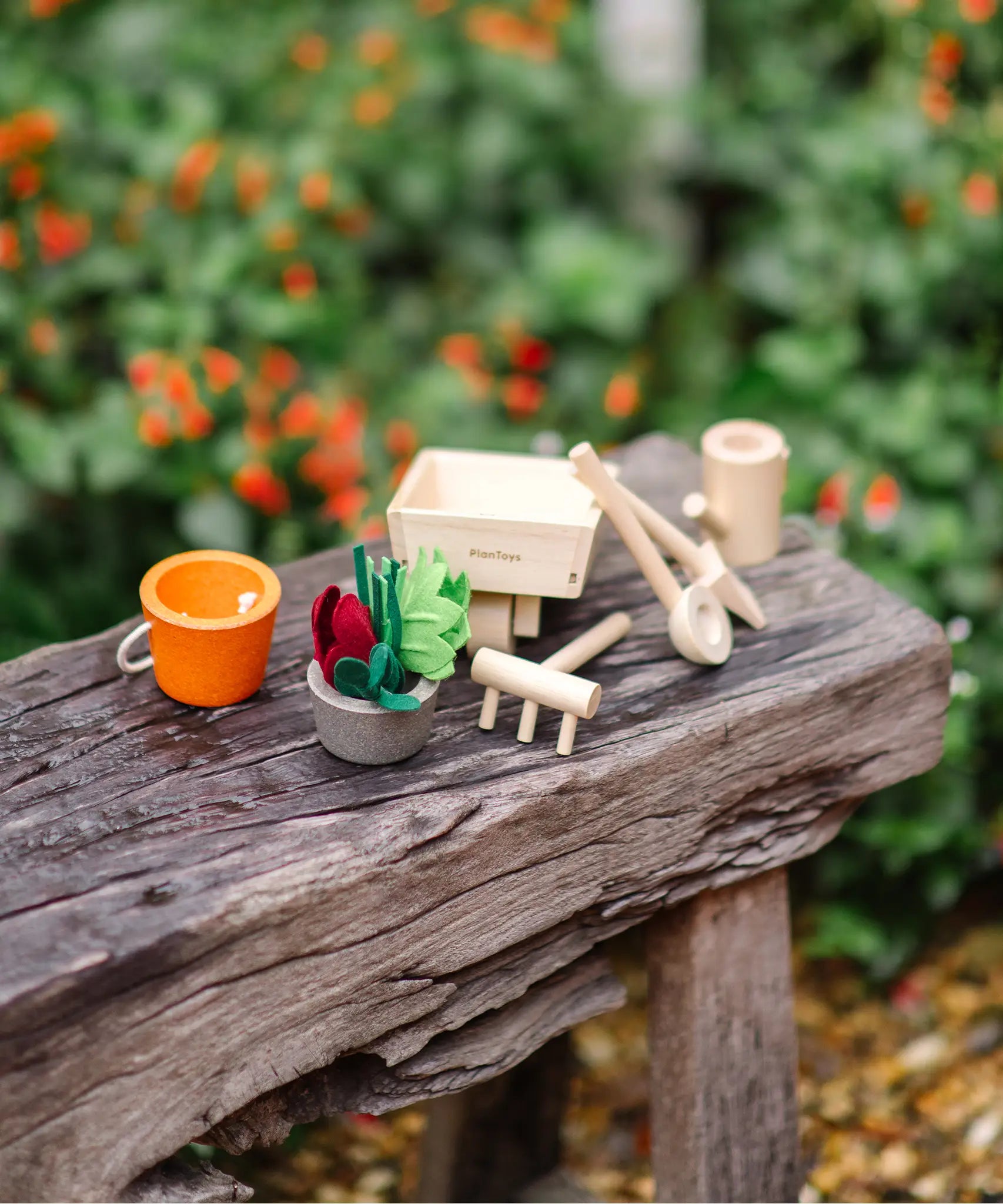 PlanToys wooden wheelbarrow next to other garden tools and loose veg pieces on a bench in the garden