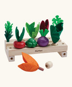 PlanToys stack & sprout set showing different veg on top of the wooden planters and a loose veg piece