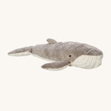 Senger Large Cuddly Whale, is a soft plush whale teddy with a grey and white body and a white mouth with small black eyes. The image is on a cream background