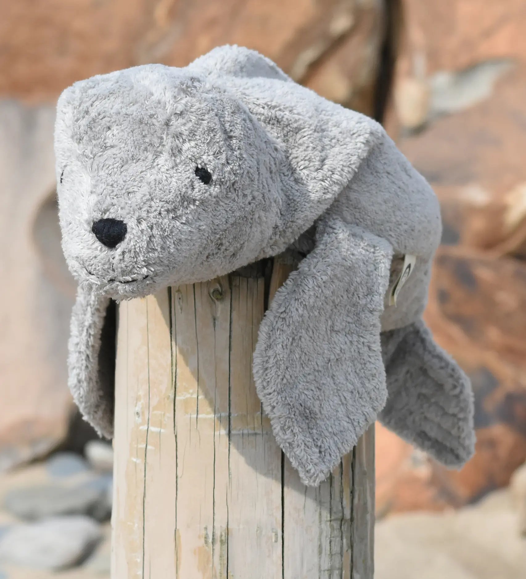 Senger Naturwelt Small Cuddly Grey Seal Organic Soft Toy, made from wool and organic cotton on a log at the beach.