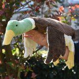 Senger Naturwelt Large Cuddly Drake Duck, an Organic Soft Toy filled with spelt chaff, outside lay on arm.
