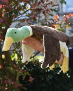 Senger Naturwelt Large Cuddly Drake Duck, an Organic Soft Toy filled with spelt chaff, outside lay on arm.
