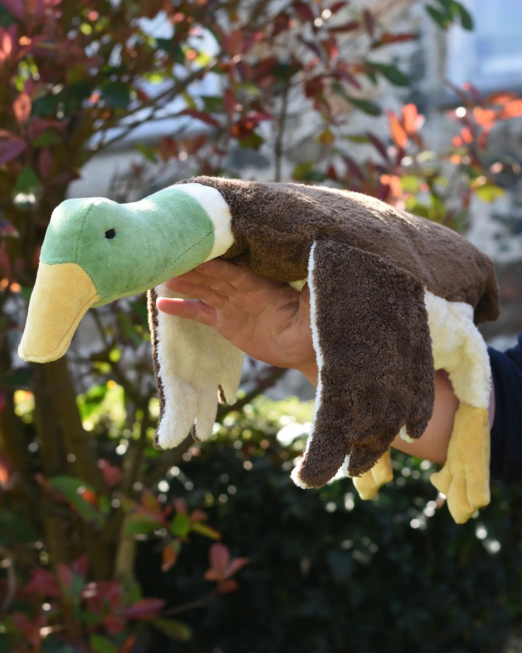 Senger Naturwelt Large Cuddly Drake Duck, an Organic Soft Toy filled with spelt chaff, outside lay on arm.