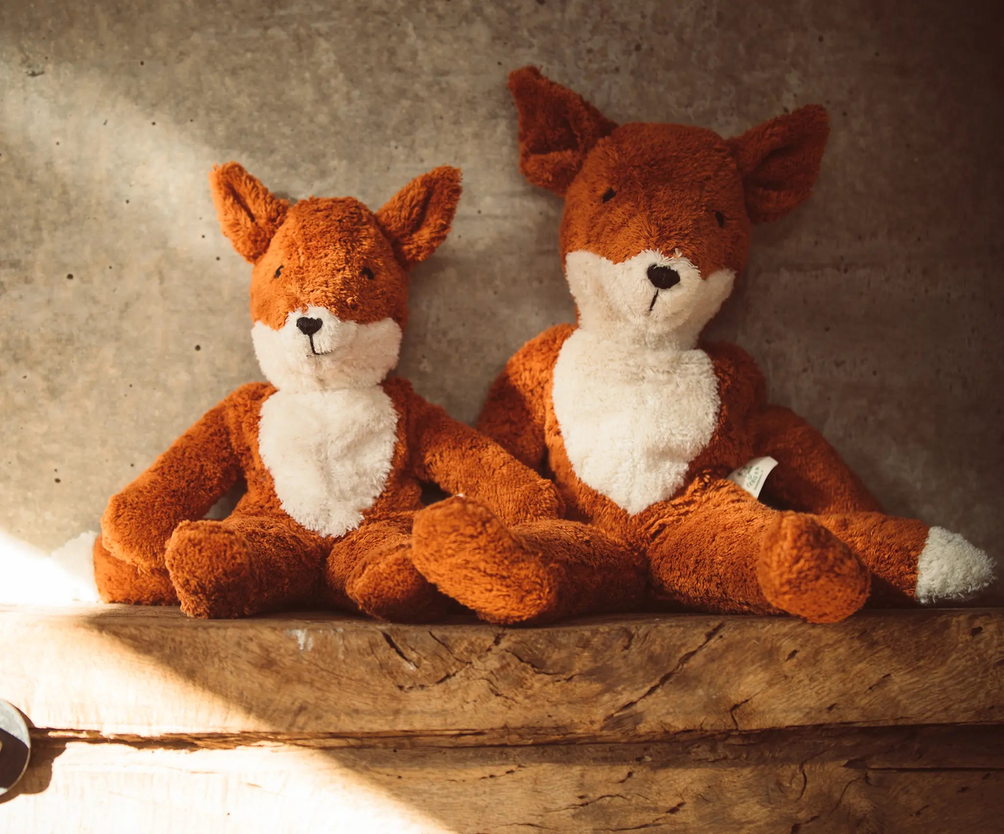 Senger Naturwelt Floppy Fox soft toy in large and small, both made from organic cotton, on a shelf.