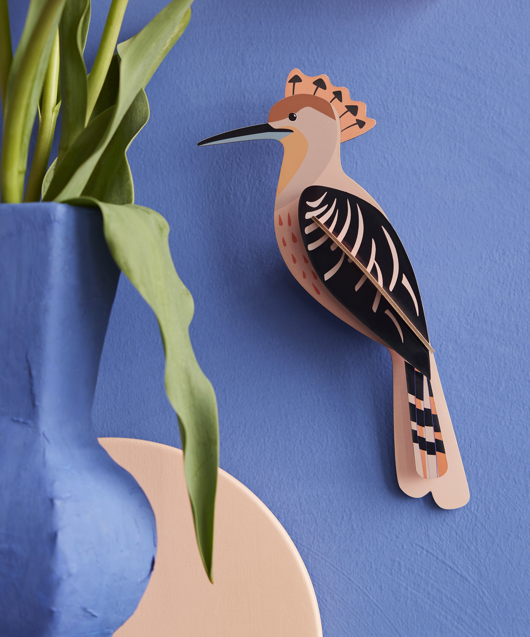 Cardboard Model Kit - Hoopoe | Studio Roof – Babipur