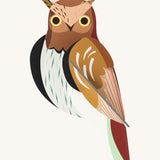 Studio Roof tawny owl wall decoration available at Babipur. Features a thick cardboard DIY kit of a brown tawny owl to hang on a wall