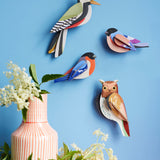 Studio Roof tawny owl wall decoration available at Babipur hanging on a blue wall next to a Studio Roof woodpecker and 2 finches. 