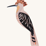 Studio Roof Hoopoe Cardboard Model, on a cream background