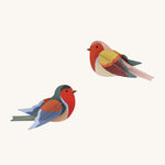 Studio Roof Robins Cardboard Model on a cream background. The image shows two colourful Robin birds