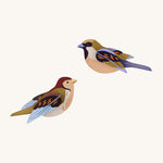 Studio Roof Sparrows Cardboard Model of two colourful birds on a cream background