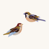 Studio Roof Sparrows Cardboard Model of two colourful birds on a cream background